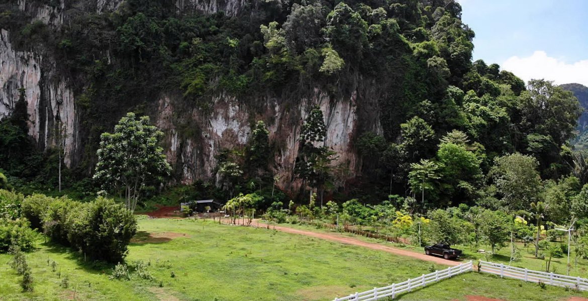 Krabi Cliff Villas 5